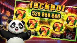 spicy casino